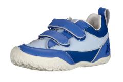 Ballop Tenui, Blue