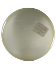 Käytetty kiekko Discmania sensei glow